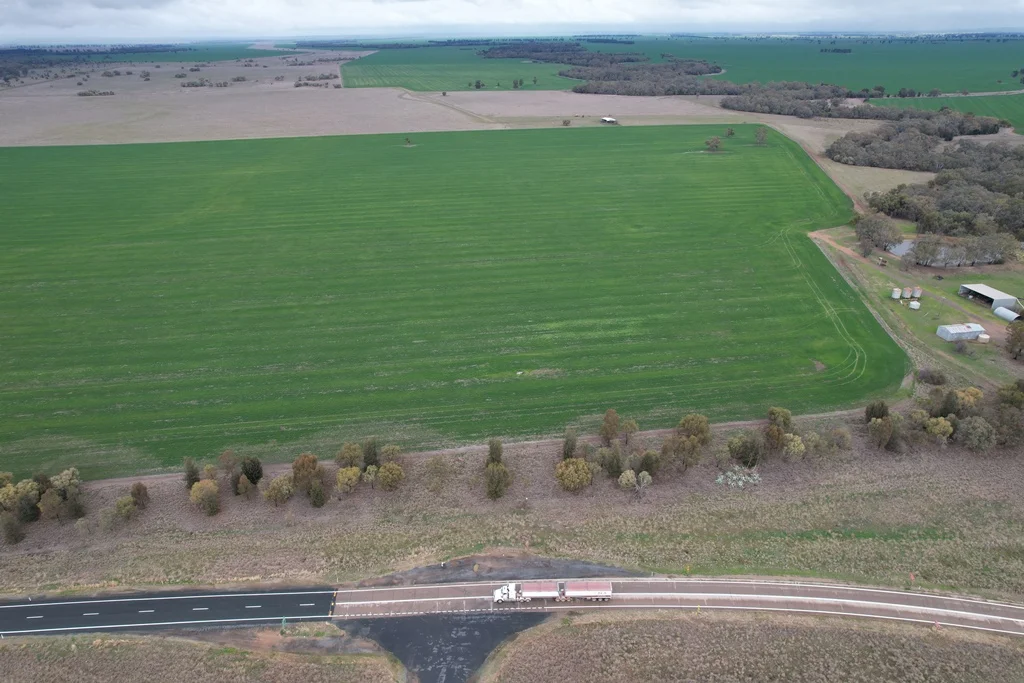 Additional image 4 of 'Merungle' 6689 Mid Western Hwy, Marsden, West Wyalong NSW 2671