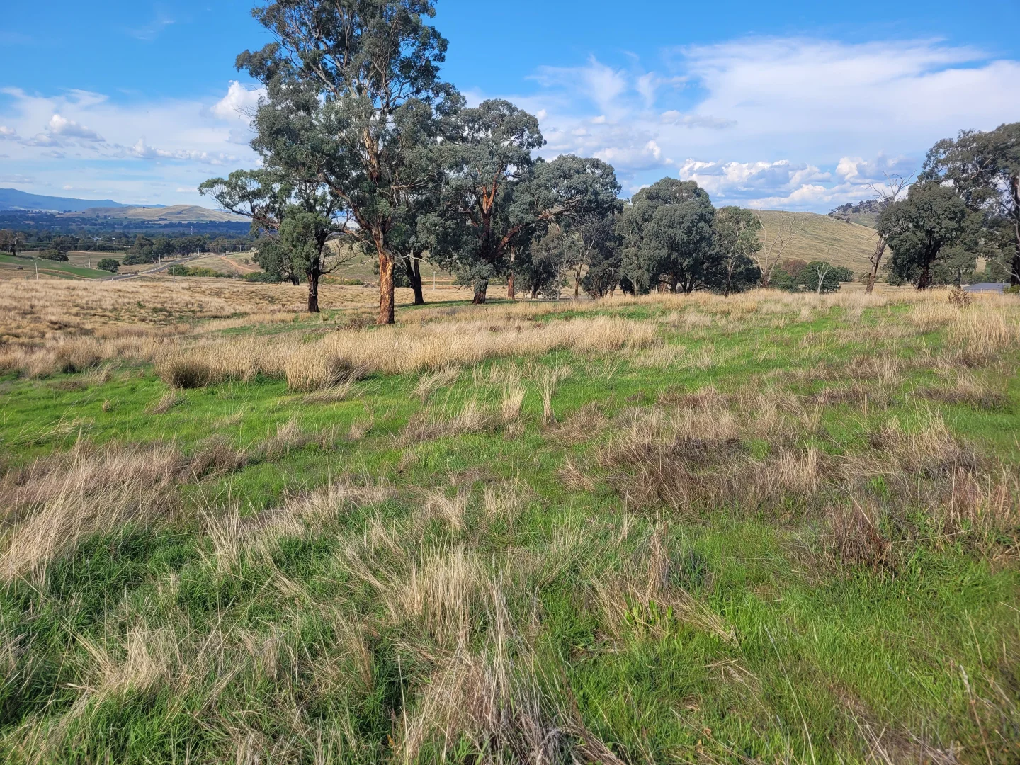 Additional image 4 of 84 Owens Creek Drive, Mansfield VIC 3722