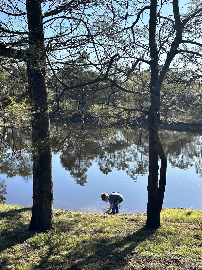 Additional image 5 of 359 Forest Siding Road, Middle Arm NSW 2580