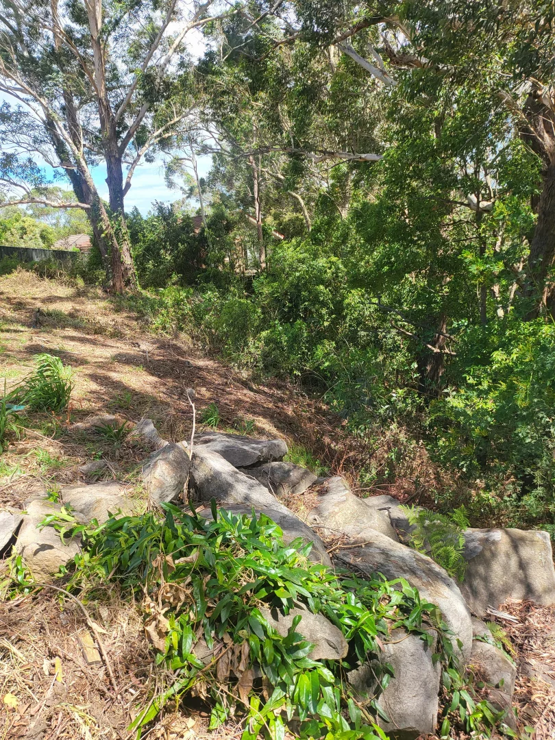 Additional image 17 of 49 Numrock Street, Bomaderry NSW 2541