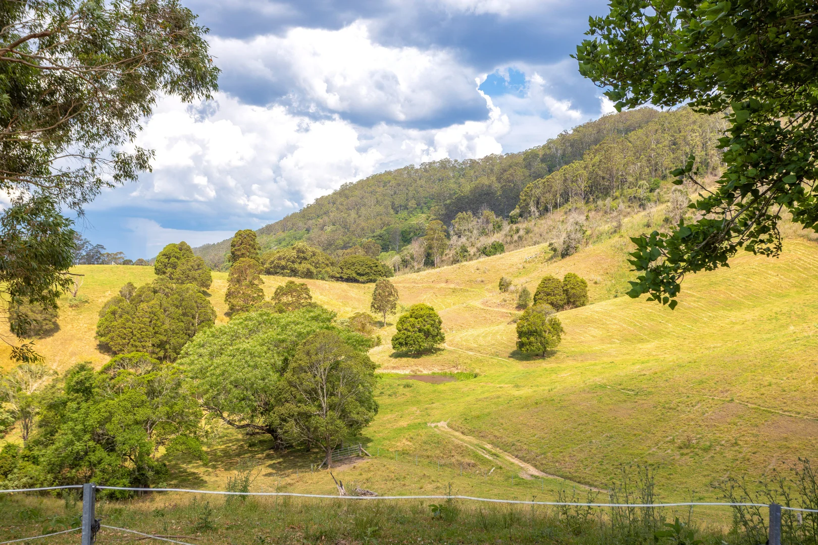 Additional image 30 of 129 Days Road, Belbora NSW 2422