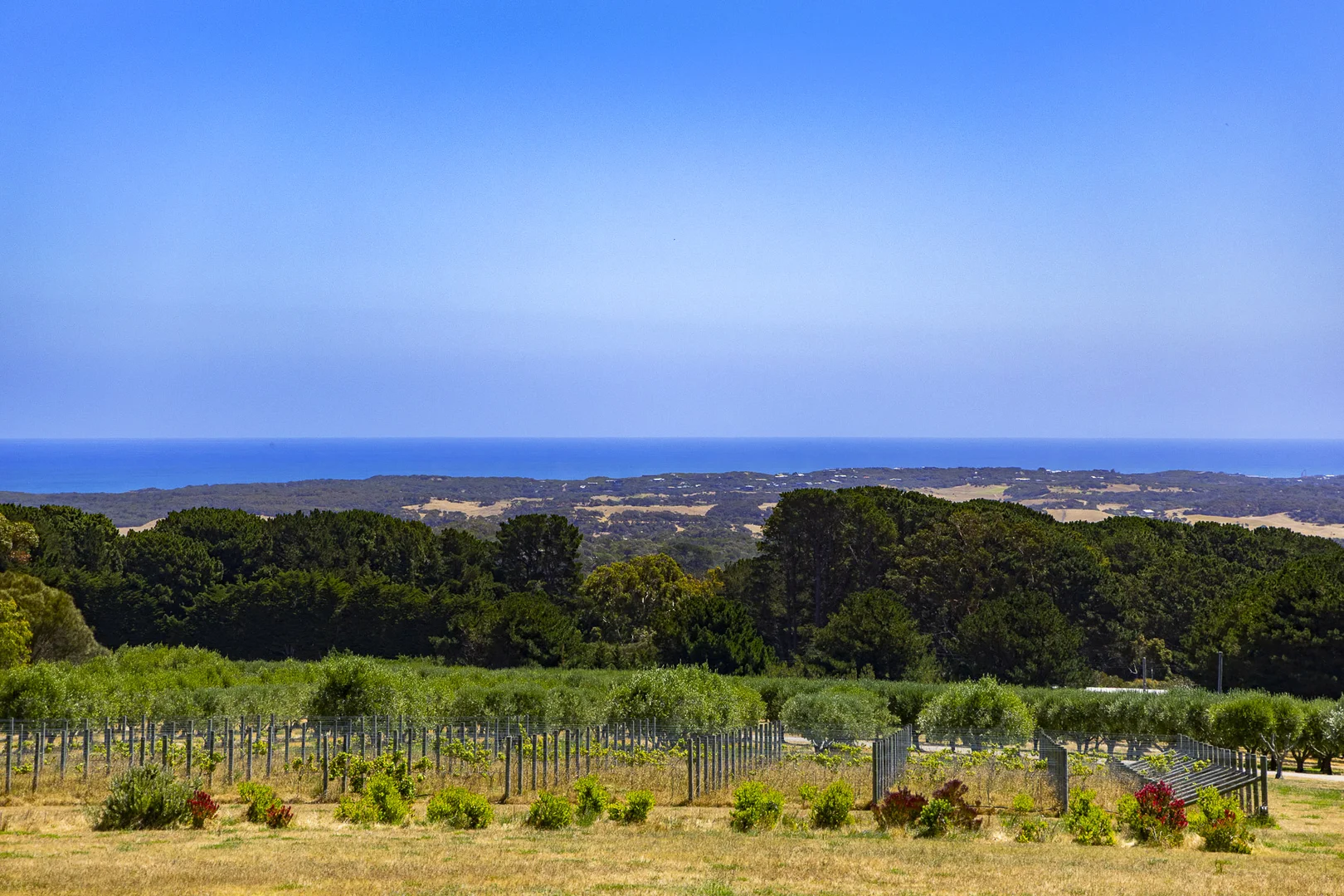 Additional image 2 of 515 Grasslands Road, Boneo VIC 3939