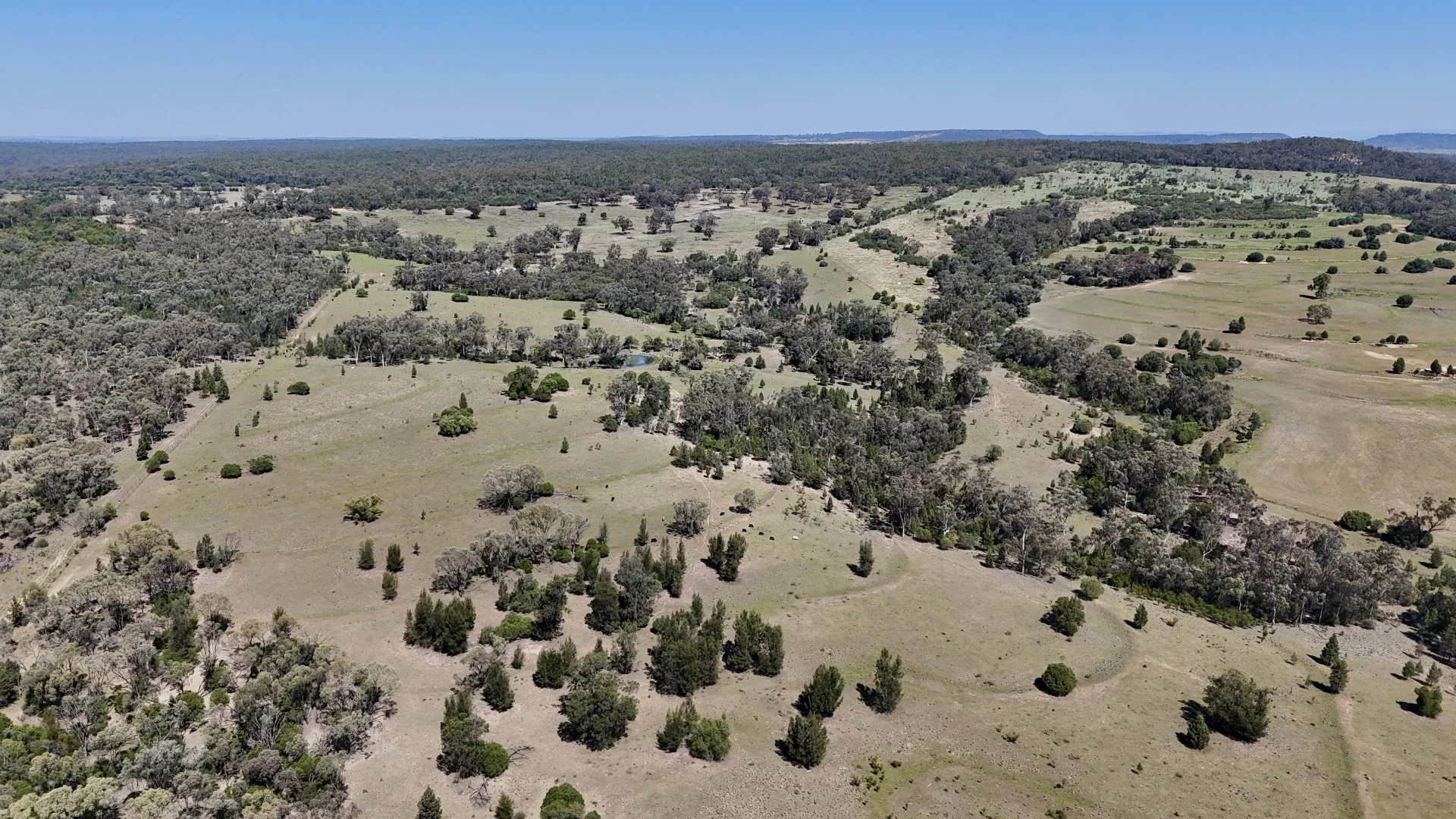 Additional image 10 of "Calamity"/1385 Mosquito Creek Road, Warialda NSW 2402