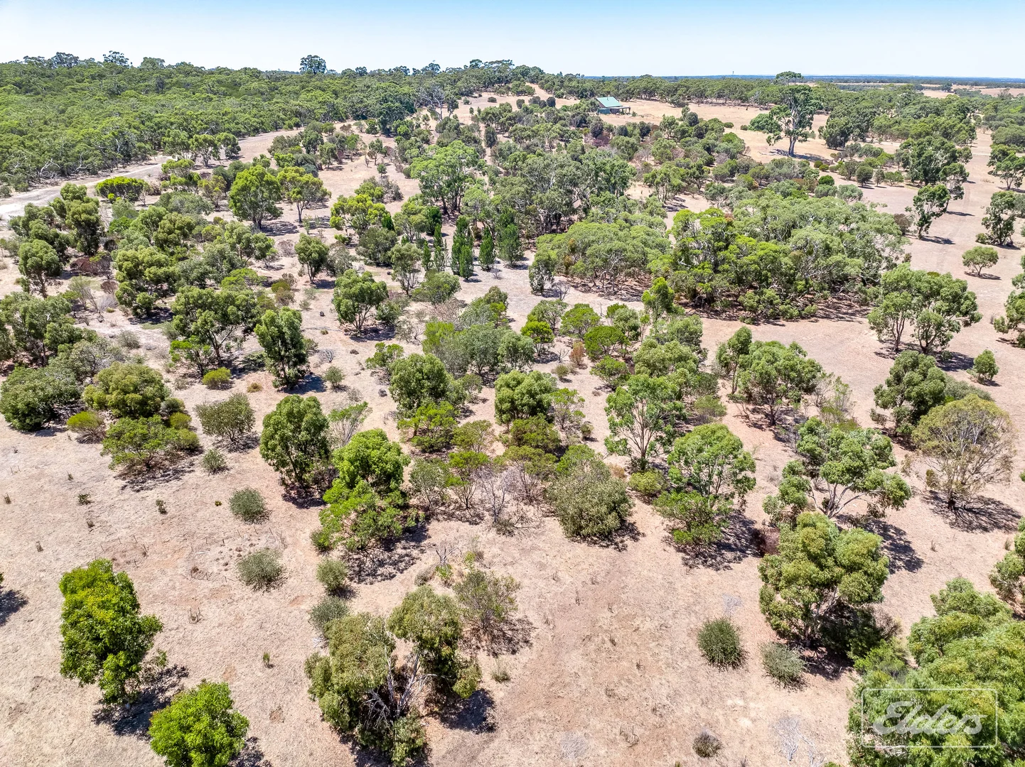 Additional image 50 of 839 Signal Flat Road, Finniss SA 5255