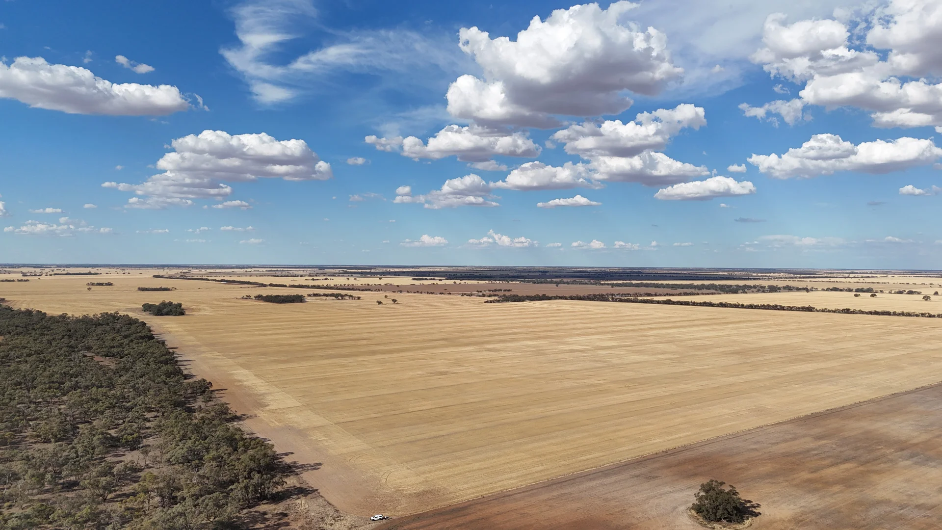 Additional image 4 of "McErvales" Culgoa-Ultima Road, Culgoa VIC 3530