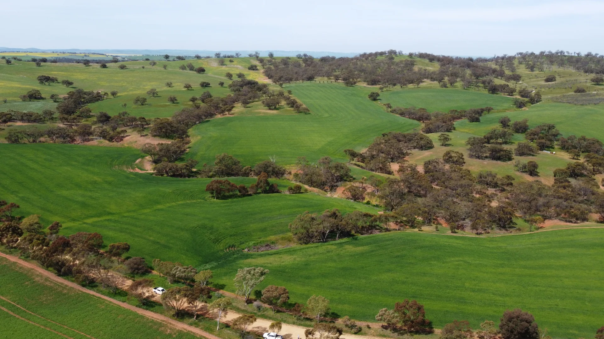 Additional image 16 of 240 Black Swamp Rd, Wirrabara SA 5481