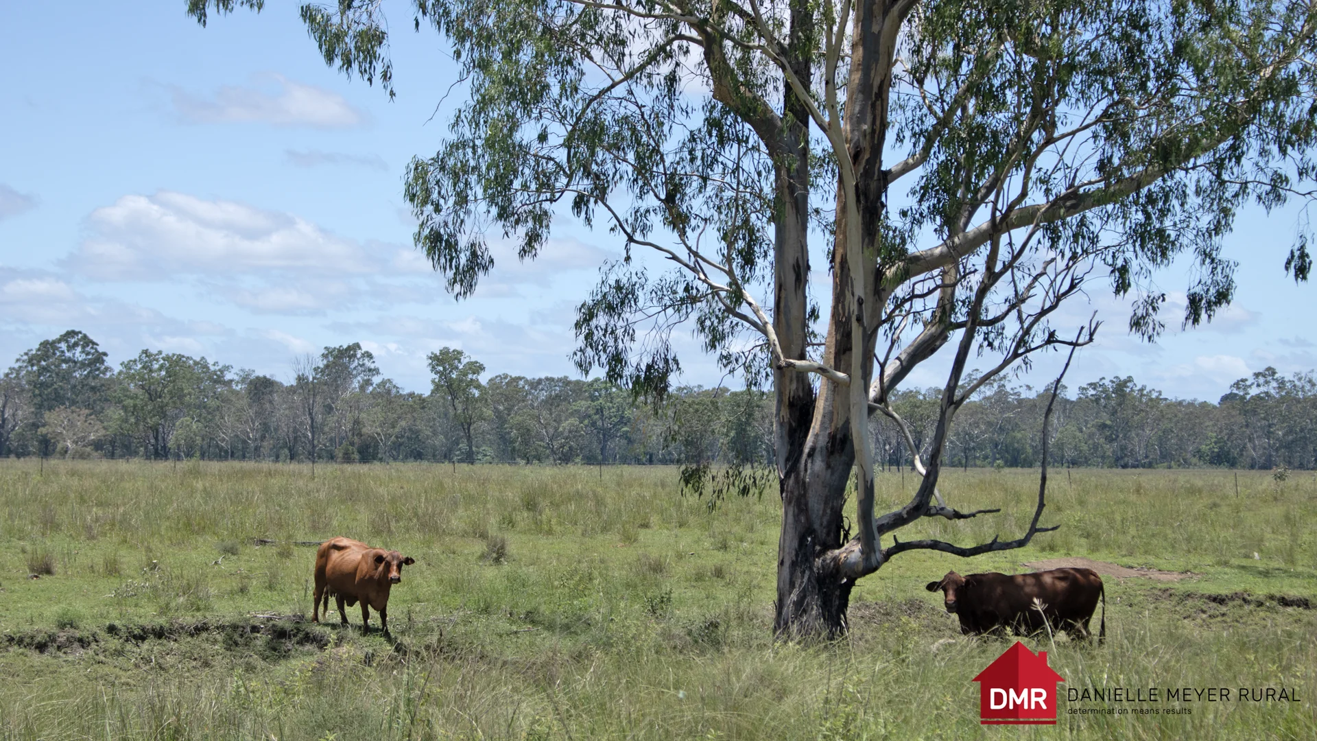 Additional image 28 of 8 Screening Plant Road, Cynthia QLD 4627