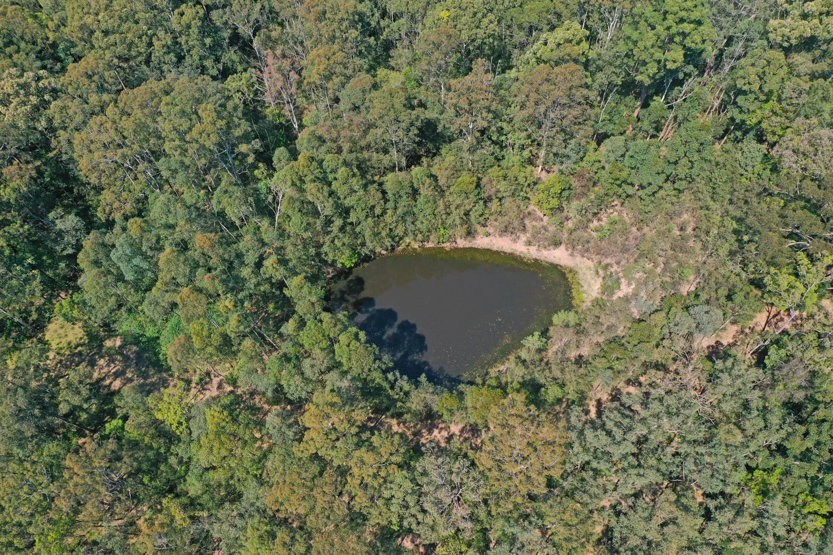 Additional image 8 of 115 Suncrest Close, Bulahdelah NSW 2423