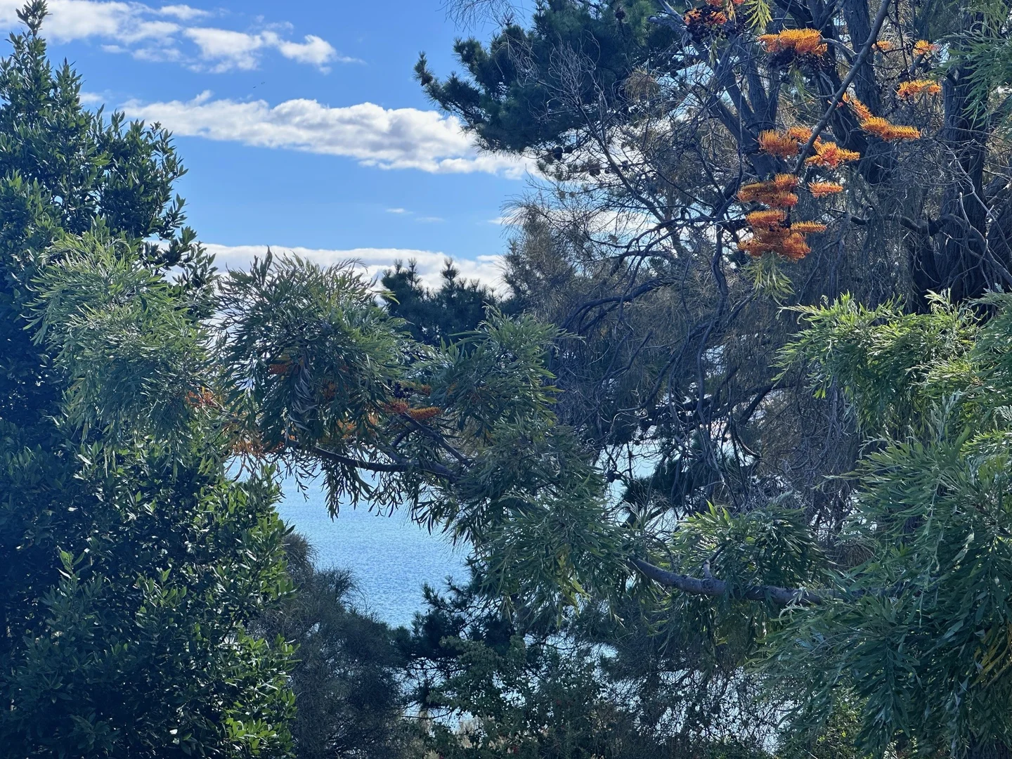 Additional image 58 of 15 View Street, Midway Point TAS 7171