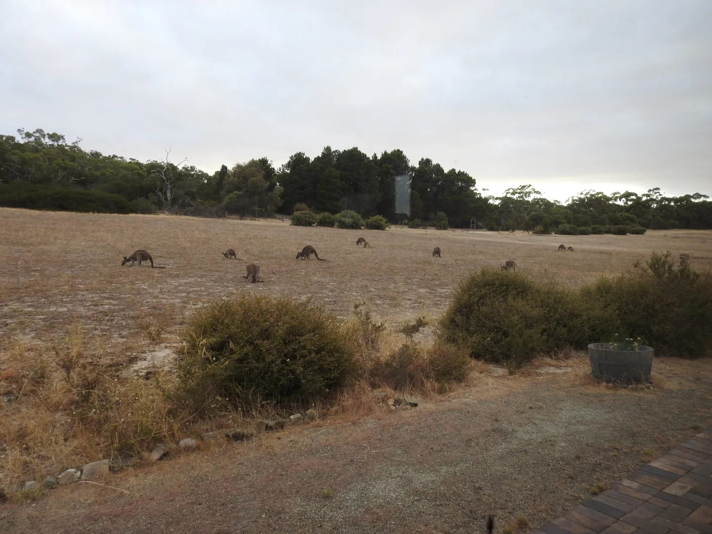 Additional image 89 of 839 Signal Flat Road, Finniss SA 5255