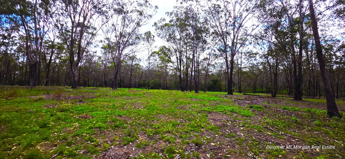 Additional image 6 of 227a Archer Road, Struck Oil QLD 4714