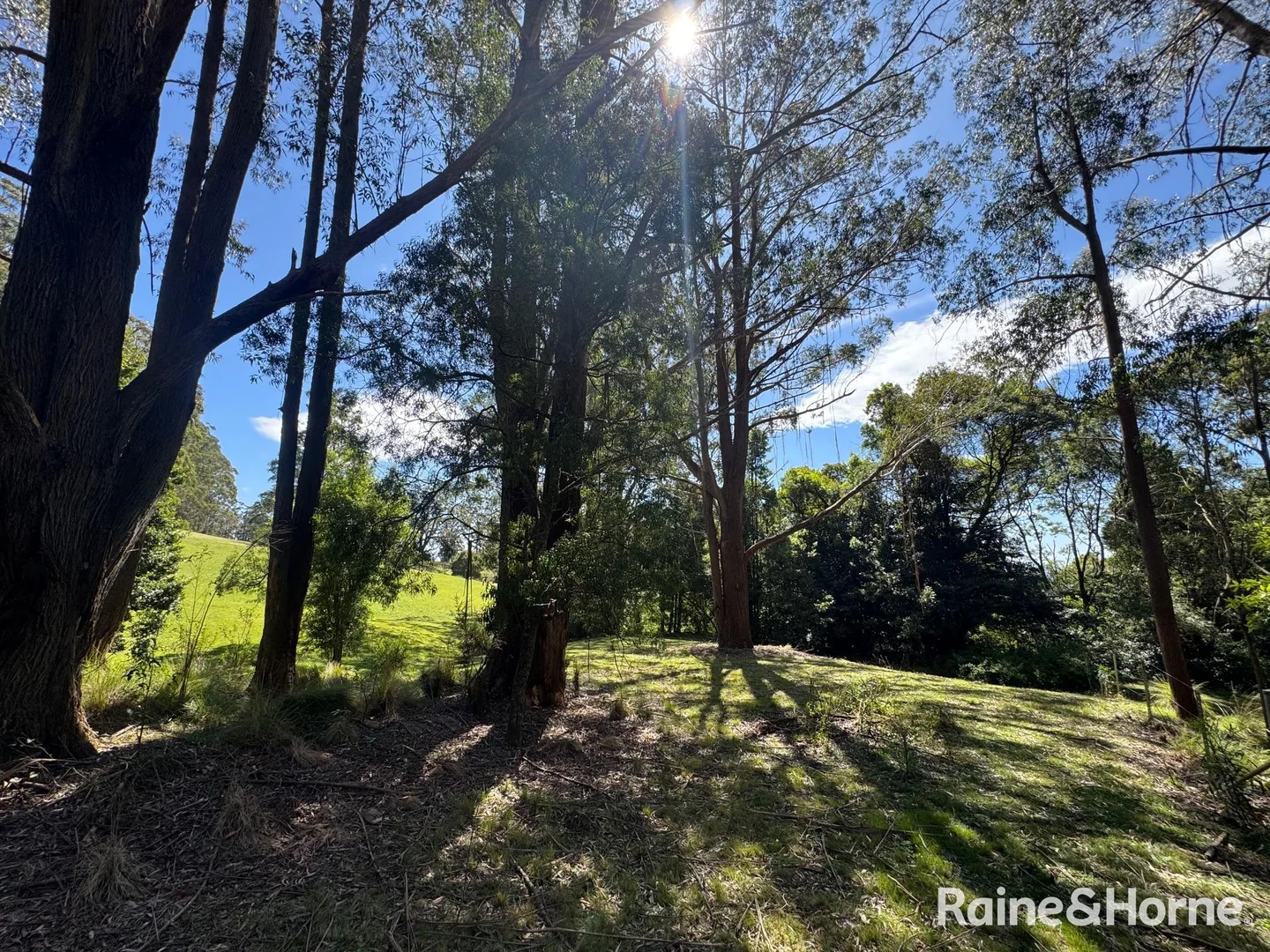 Additional image 16 of 36 Sturgiss Road, Sassafras NSW 2622