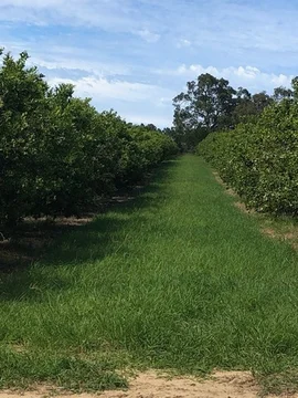 Additional image 13 of 209 Rangeview Drive, Wanerie WA 6503