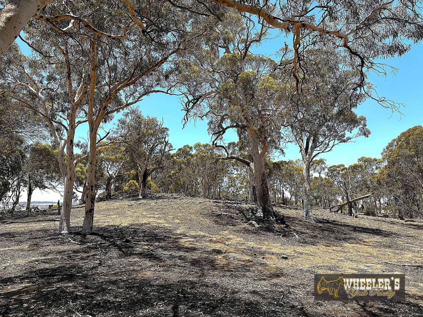 Additional image 19 of York WA 6302