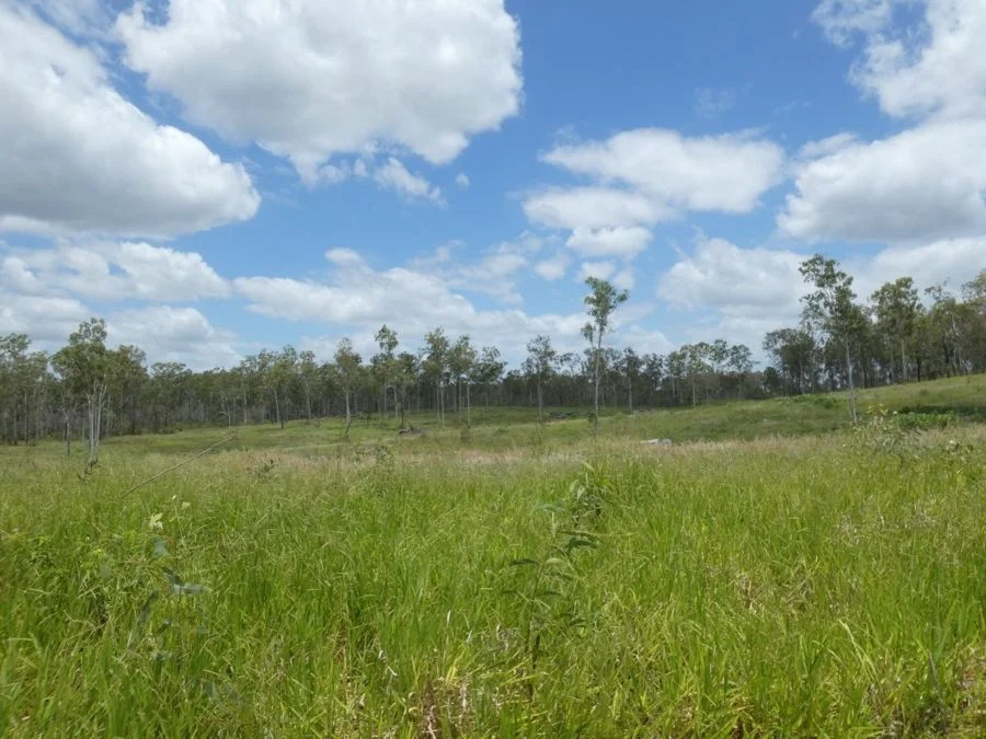 Additional image 13 of Lot 43 Moolyung Road, Waterloo QLD 4673