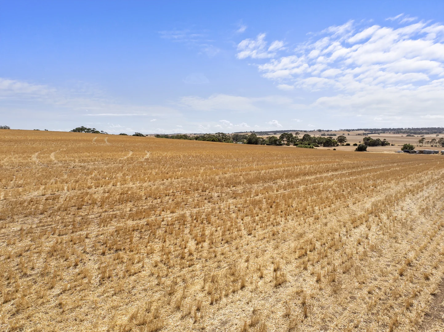 Additional image 28 of 'Merilden Feedlot' & 'Brads', Manoora SA 5414