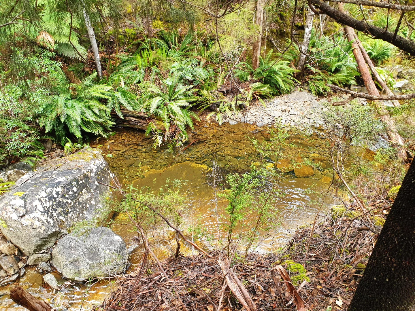 Additional image 10 of Lot 5 Liddells Road, Crabtree TAS 7109