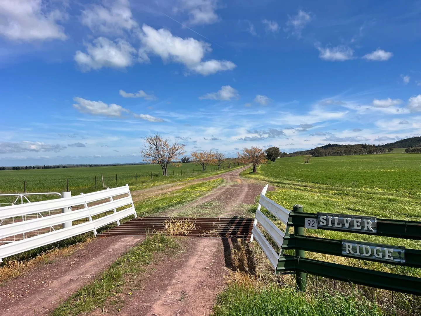 Additional image 5 of 92 Campbells Lane, Canowindra NSW 2804