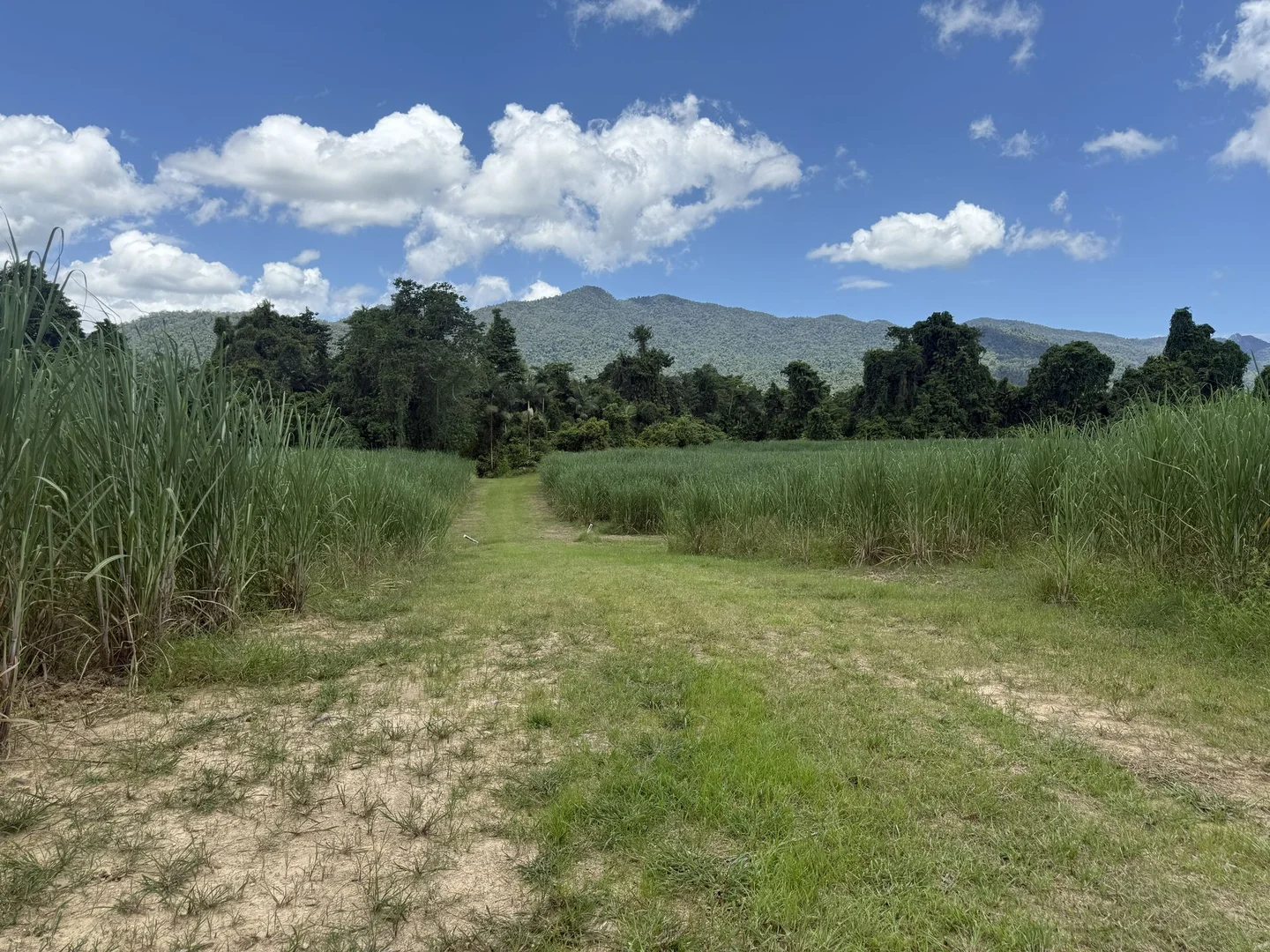 Additional image 16 of 53 Scougall Road, Jarra Creek QLD 4854