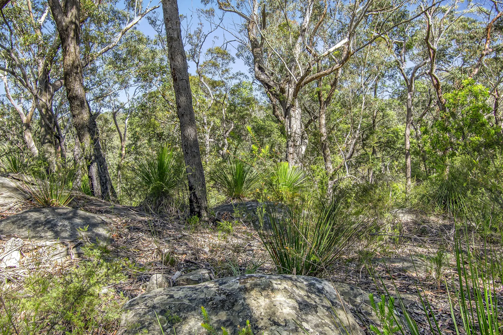Additional image 8 of 167 Burralow Road, Kurrajong Heights NSW 2758