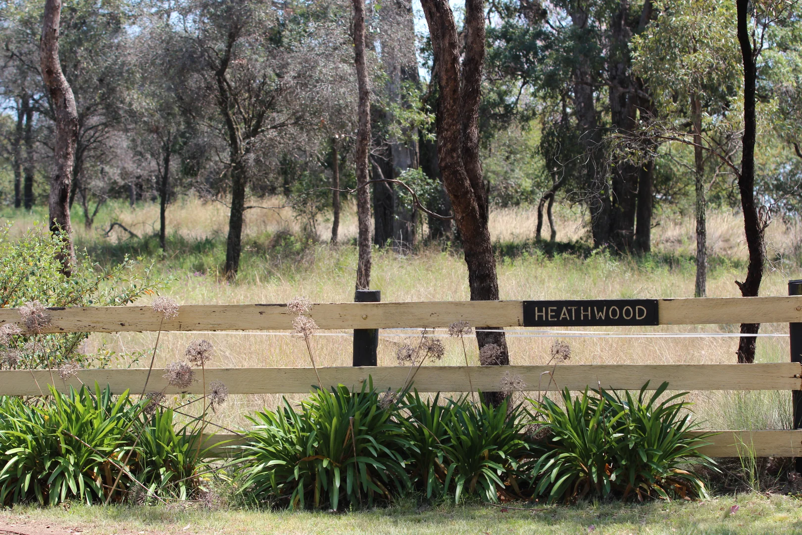 Additional image 28 of 121 Orchard Place, Inverell NSW 2360