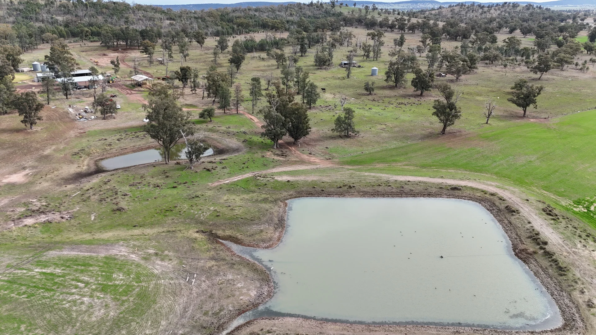 Additional image 15 of 877 Mount Tallabung Road, Forbes NSW 2871