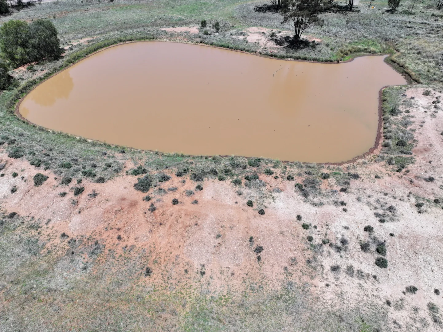 Additional image 17 of 'Mentone' 1521 Bruie Plains Road, Trundle NSW 2875