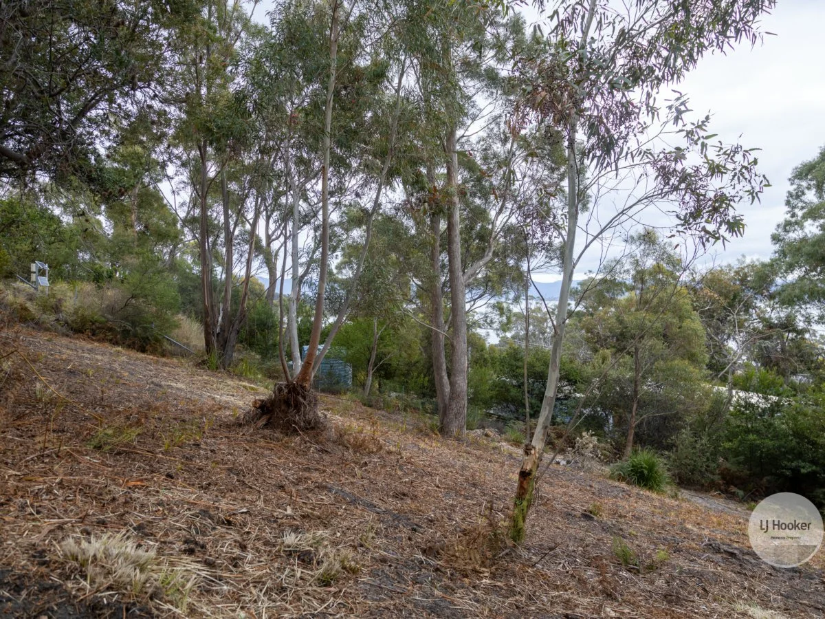 Additional image 15 of 54 Blyth Parade, Great Bay TAS 7150