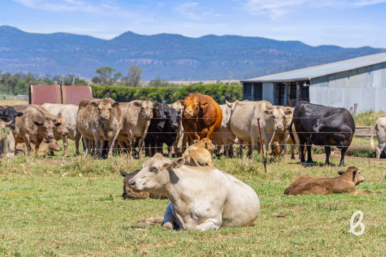 Additional image 24 of 562 Yarrawa Road, Yarrawa NSW 2328