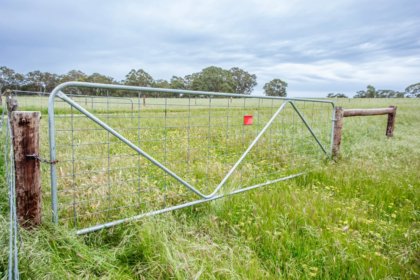 Additional image 12 of Corner Roy Lawries road and Pedericks Road, Lochaber SA 5271