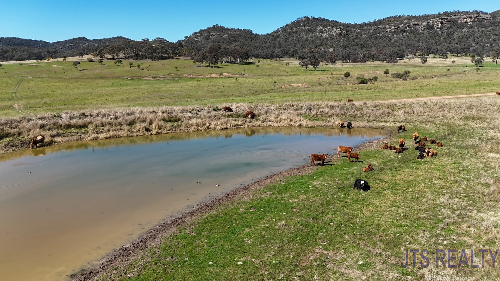 Additional image 22 of 951 Bylong Valley Way, Baerami NSW 2333