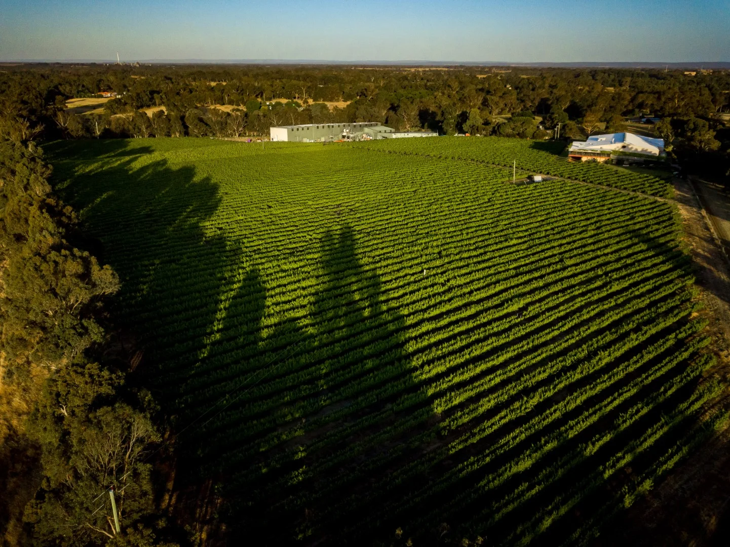 Additional image 4 of 118 Mallokup Road, Capel WA 6271