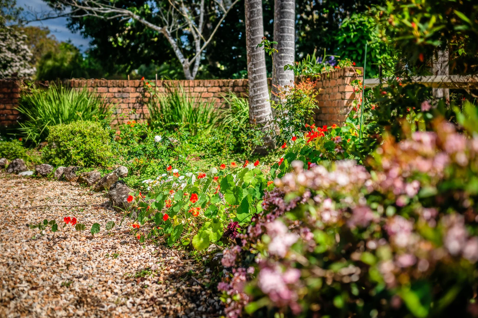 Additional image 26 of 2 Tibouchina Close, Bellingen NSW 2454