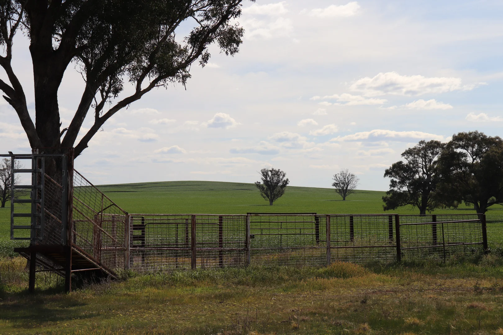 Additional image 27 of 861 Kadina Road, Parkes NSW 2870