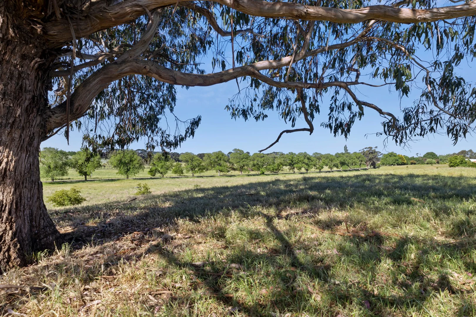 Additional image 3 of Burton Avenue, Kyneton VIC 3444