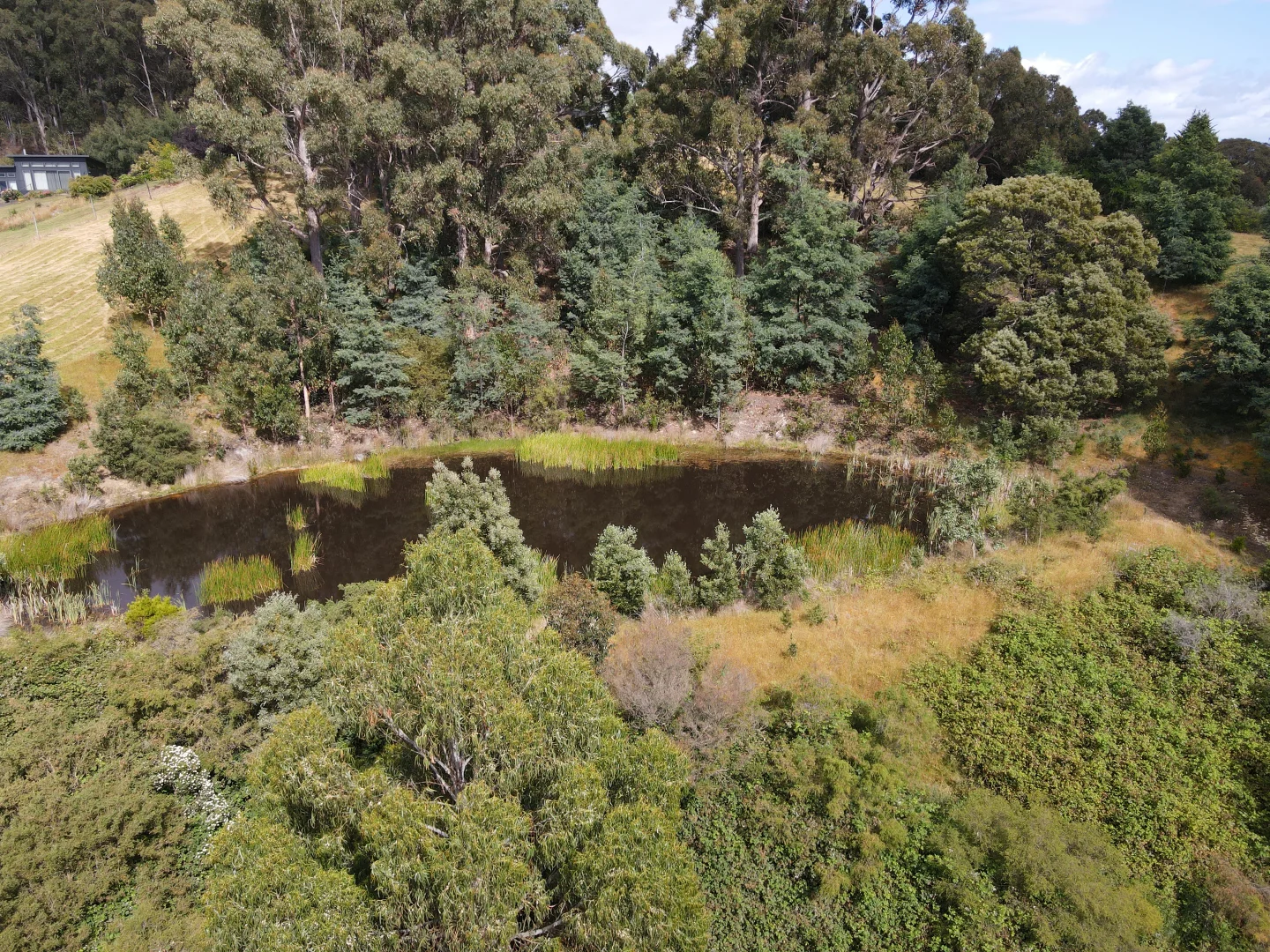 Additional image 7 of 23A White Cliffs Road, Brooks Bay TAS 7116
