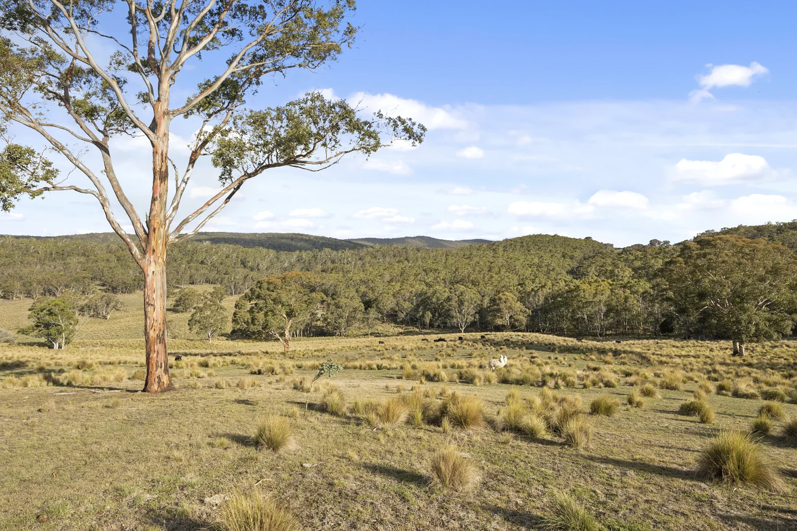 Additional image 32 of 507 Harolds Cross Road, Captains Flat NSW 2623