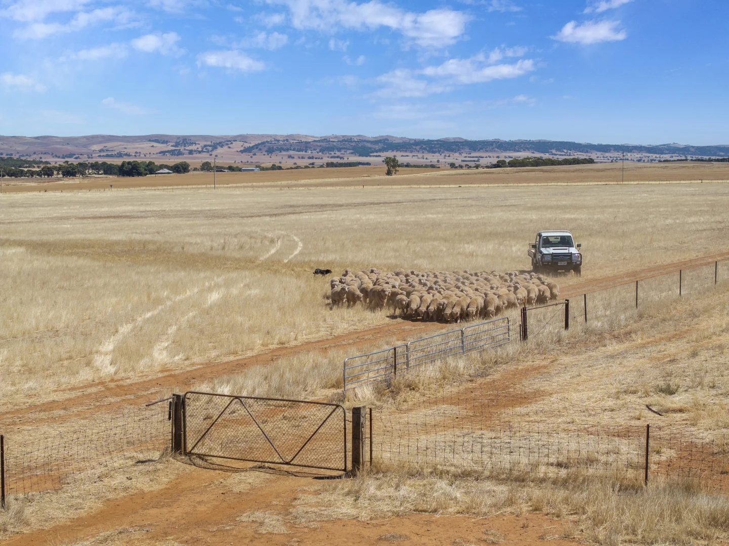 Additional image 9 of 'Klingers' Frost Road, Mannanarie SA 5422