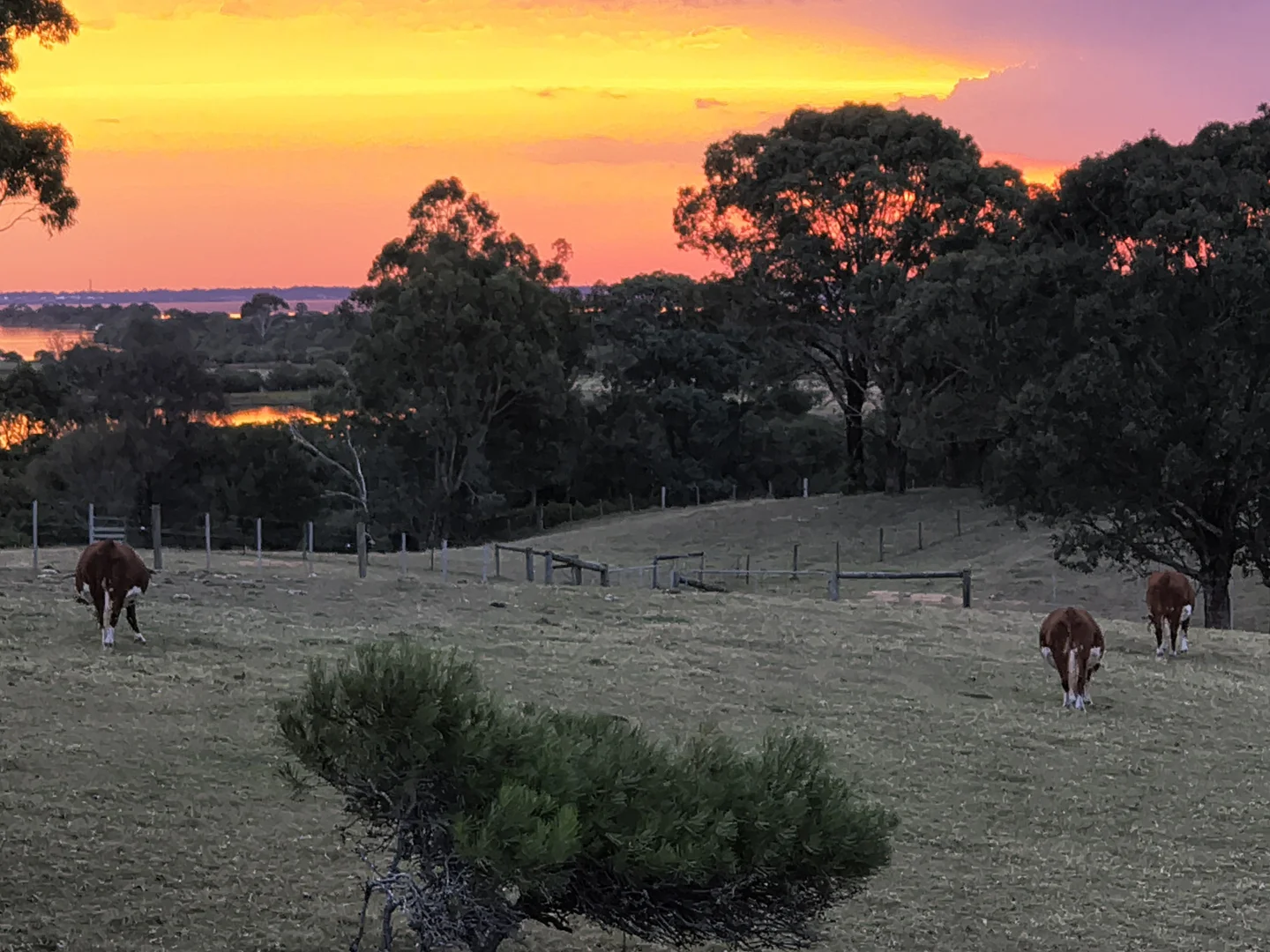 Additional image 35 of 305 Punt Rd, Metung VIC 3904