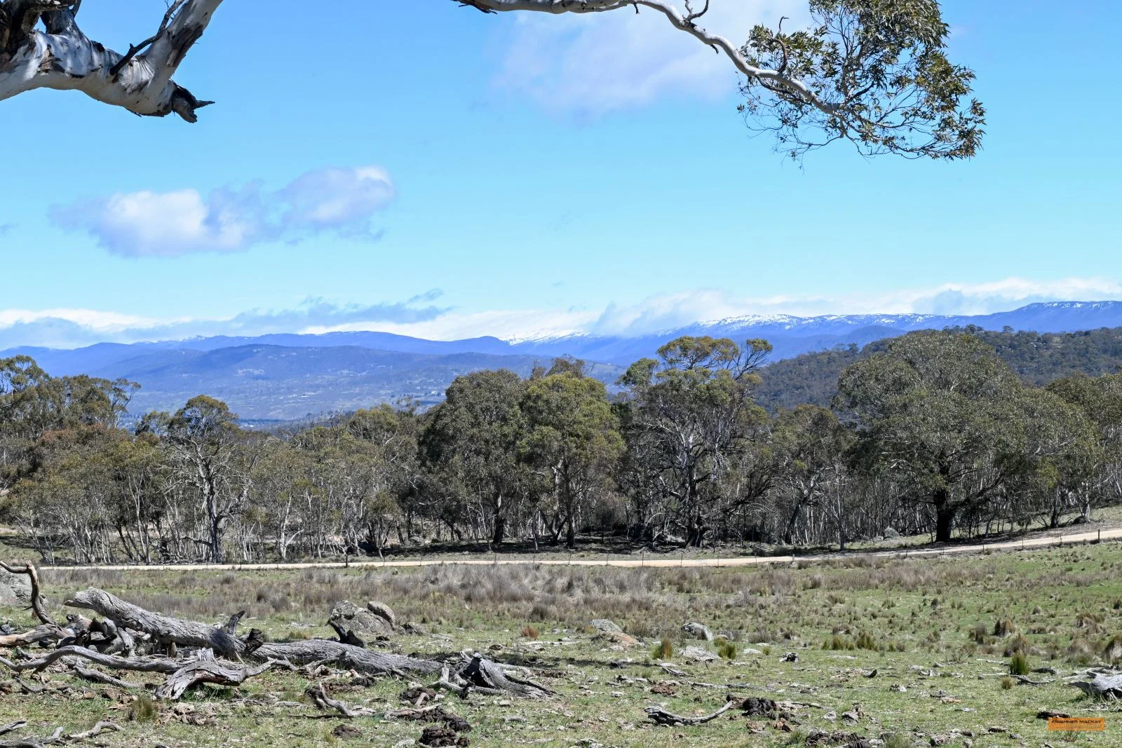 Additional image 2 of "King's Ridge" 698 Avonside Road, Avonside NSW 2628