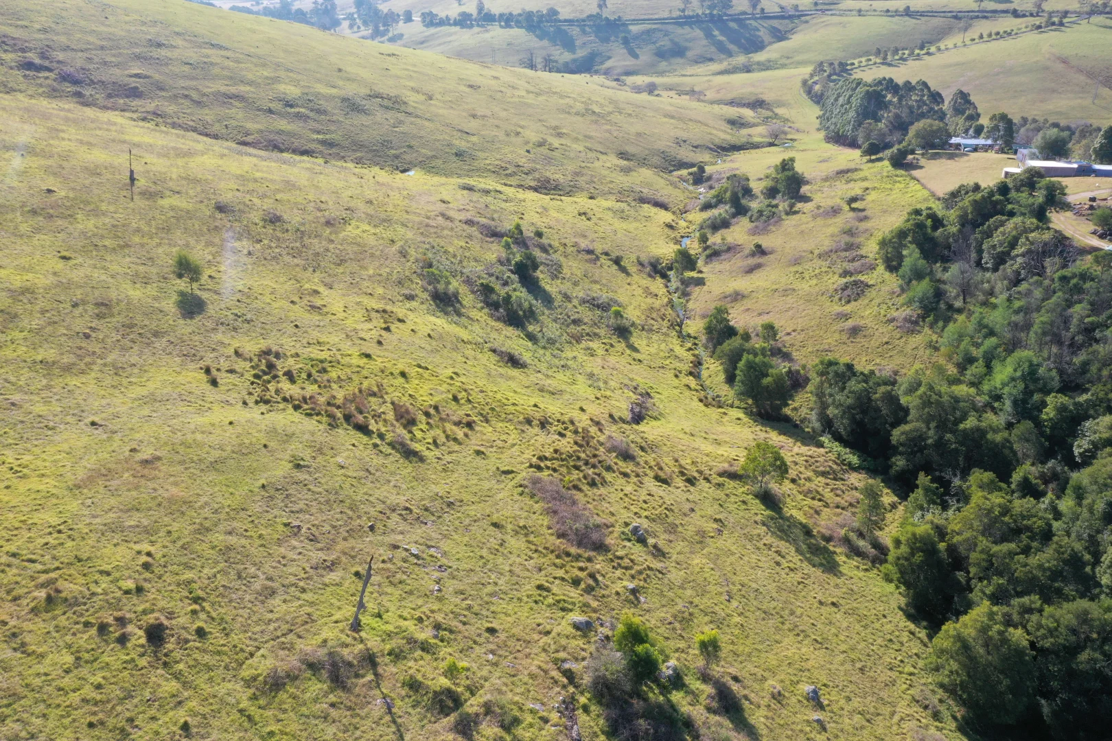 Additional image 30 of Lot 193 Fourter Road, Nethercote NSW 2549