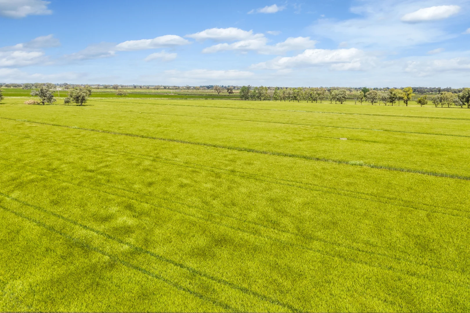 Additional image 12 of 7172 Murray Valley Highway, Cullen VIC 3568