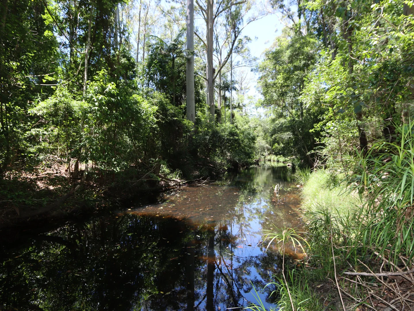 Additional image 8 of 62 Holey Flat Lane, Moorland NSW 2443
