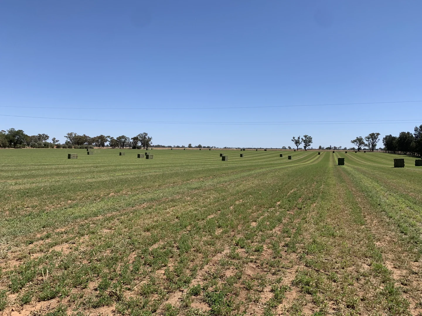 Additional image 10 of 149 Old Backwater Rd, Narromine NSW 2821