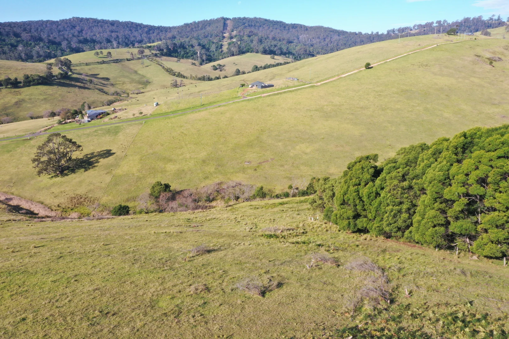 Additional image 19 of Lot 23 Fourter Road, Nethercote NSW 2549