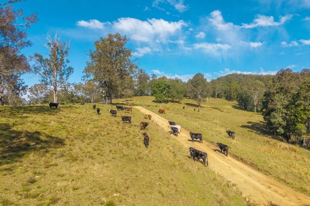 Additional image 4 of Lot 3 of 449 Hickeys Creek Road, Millbank NSW 2440