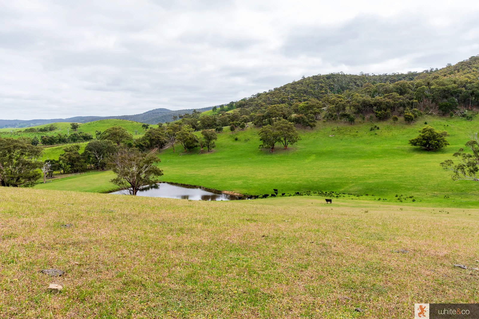 Additional image 4 of 1, 2 & 3/170 Dalls Road, Whittlesea VIC 3757