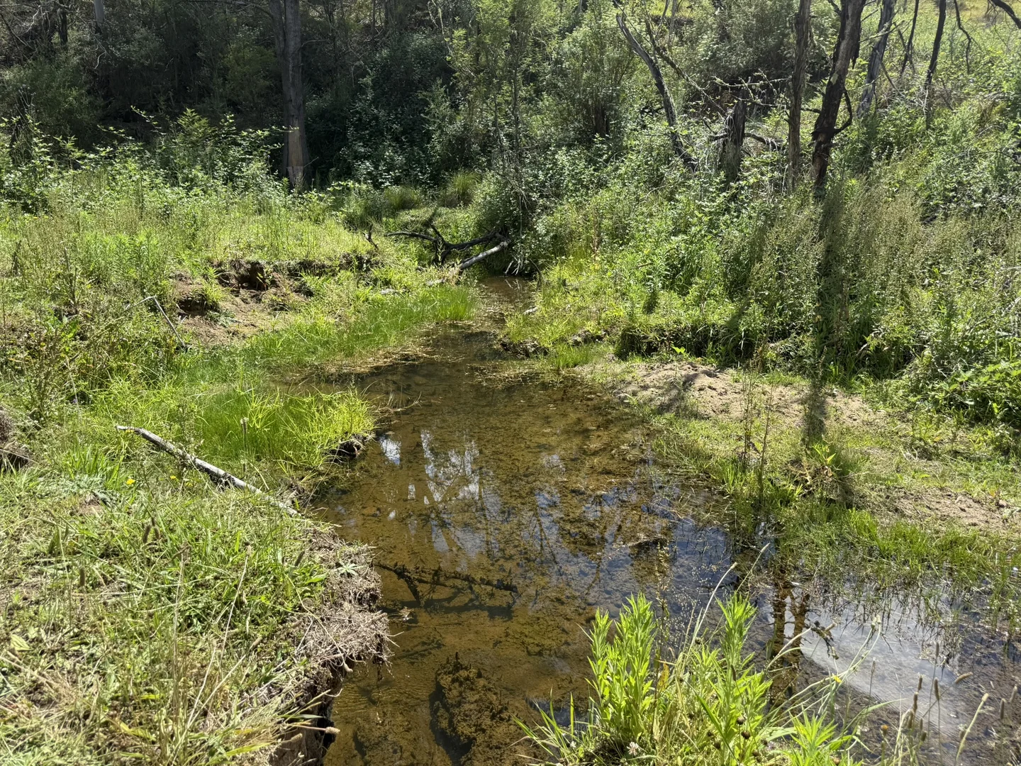 Additional image 26 of 3/1076 Neringla Road, Braidwood NSW 2622