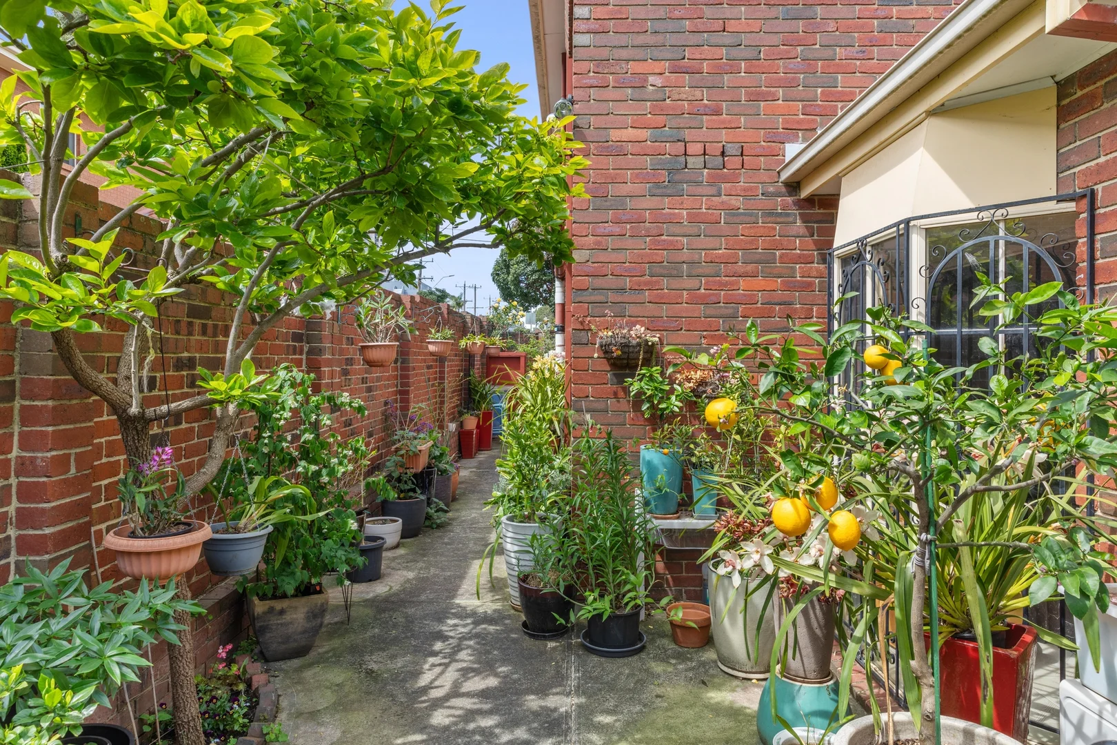 Additional image 3 of 2 Thurston Street, Box Hill VIC 3128