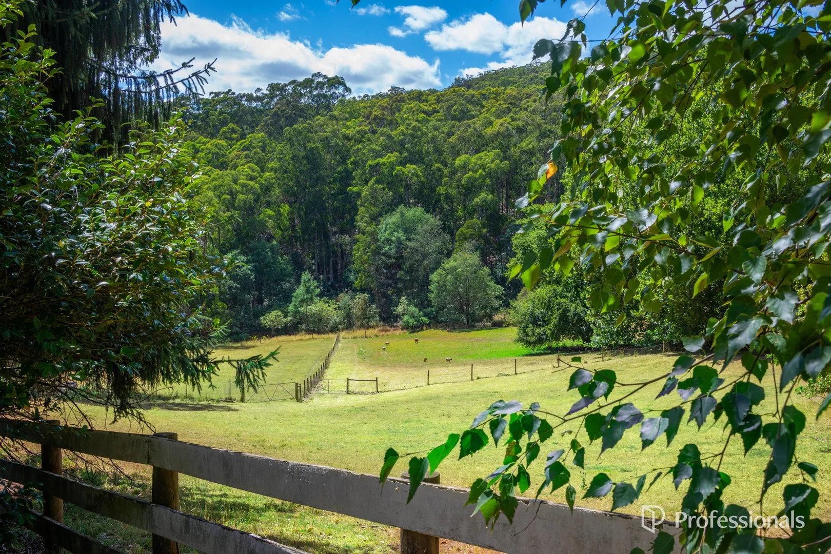 Additional image 23 of 20 Daveys Lane, Hoddles Creek VIC 3139